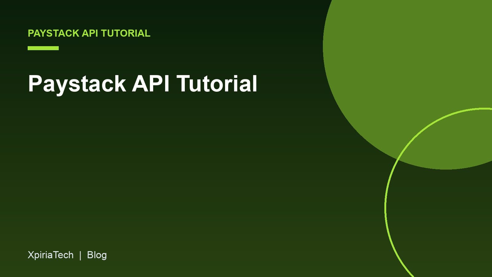 Cover graphic for the article: Paystack API Tutorial