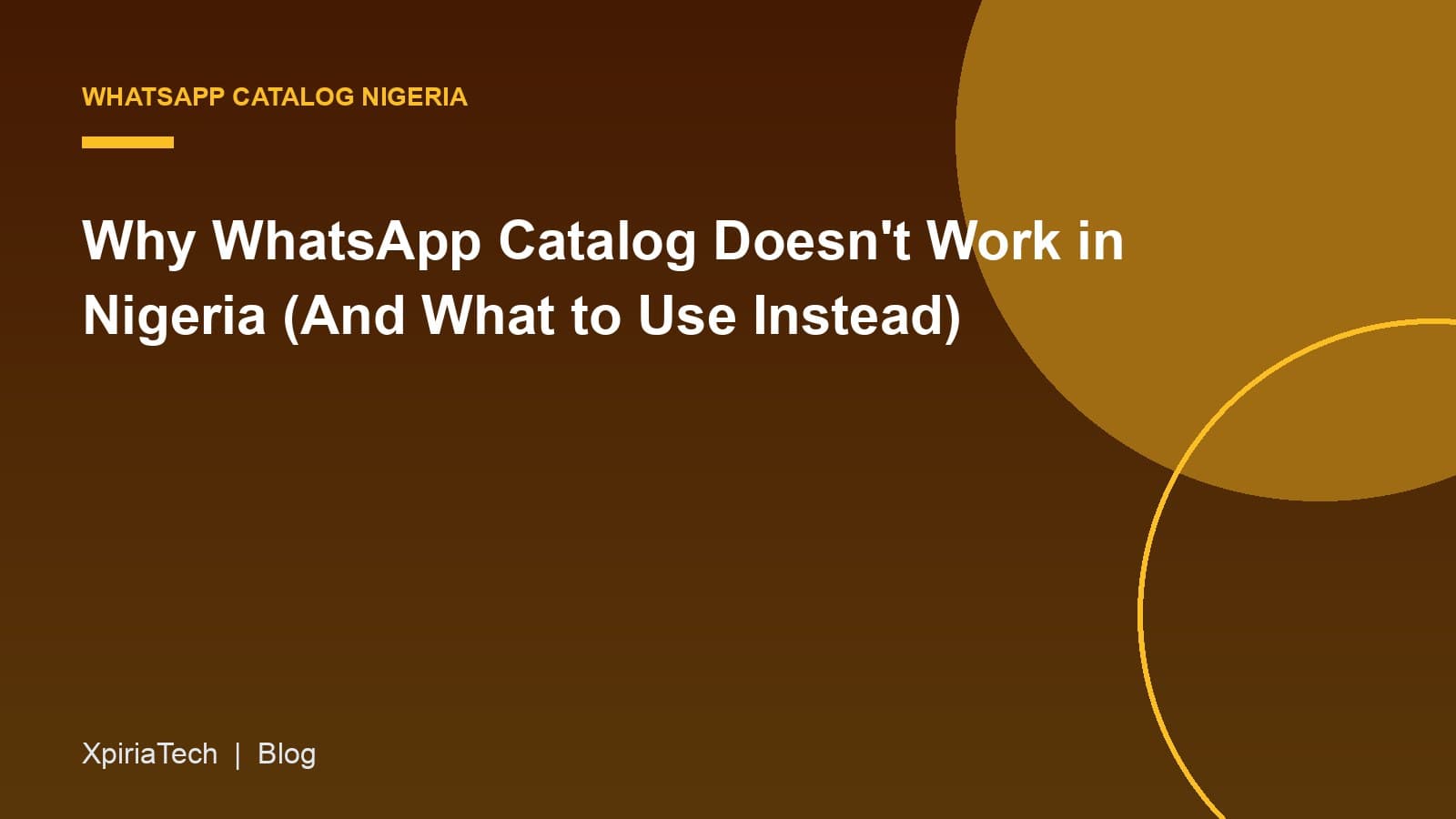 Cover graphic for the article: Why WhatsApp Catalog Doesn't Work in Nigeria (And What to Use Instead)