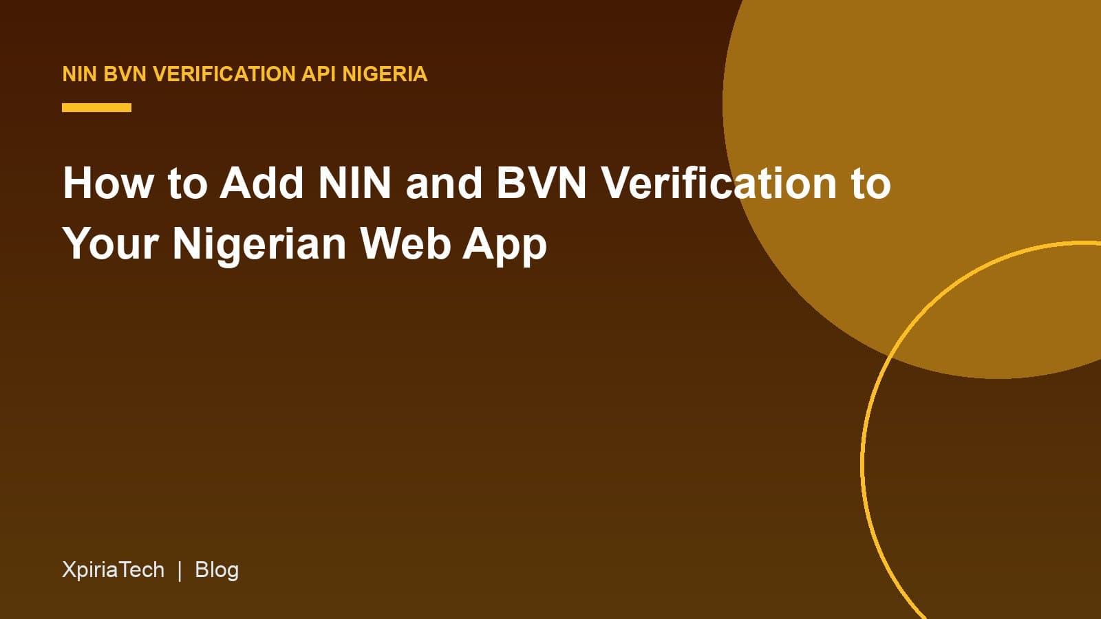 Cover graphic for the article: How to Add NIN and BVN Verification to Your Nigerian Web App